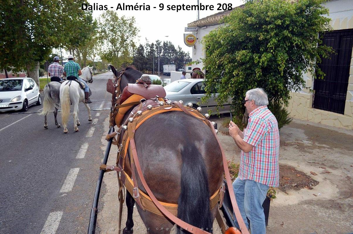 03 ALMERIA PROMENADE VERS DALIAS (15).JPG